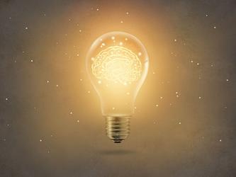 Brain in a lightbulb